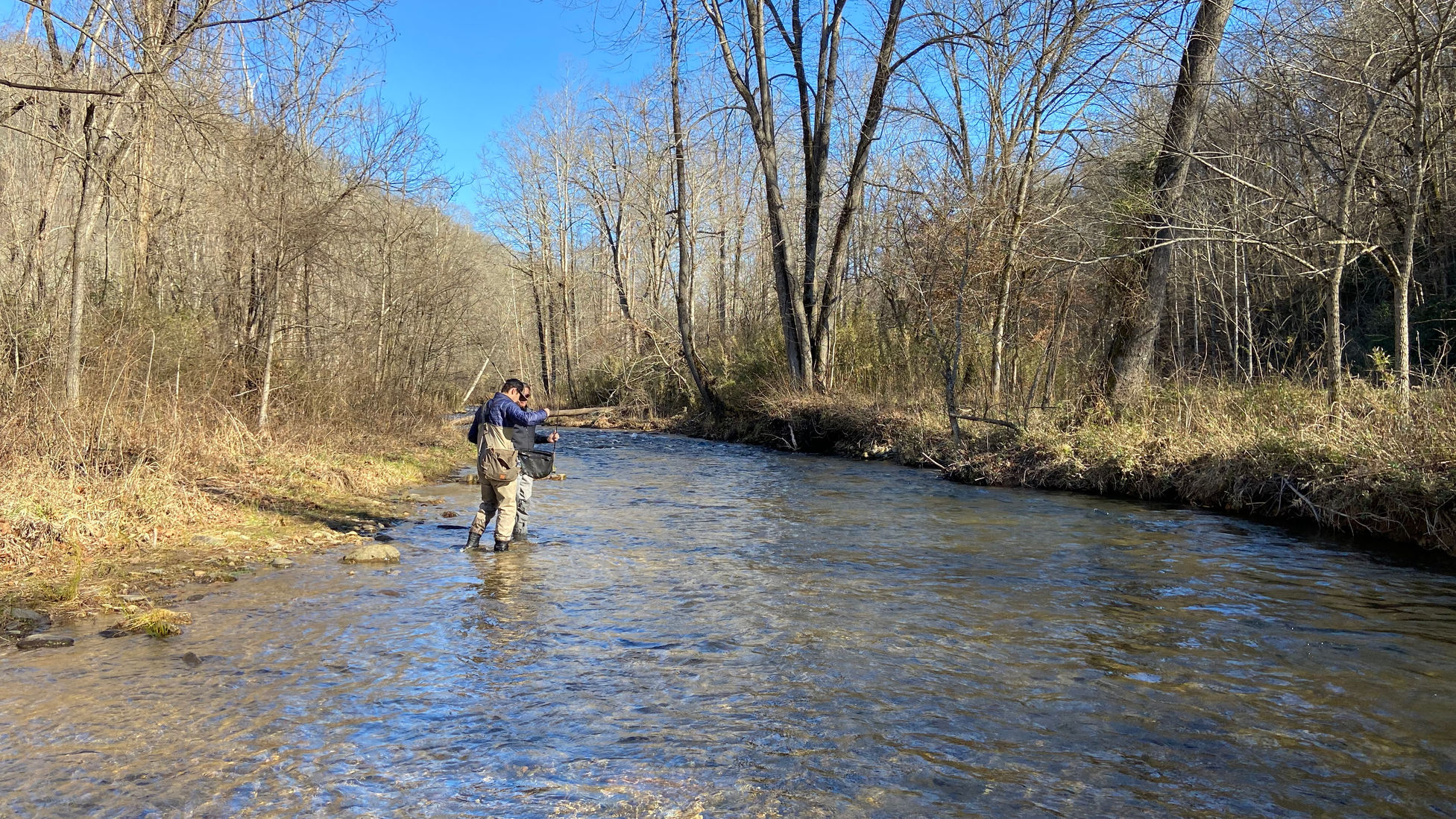 Caney Fork Creek